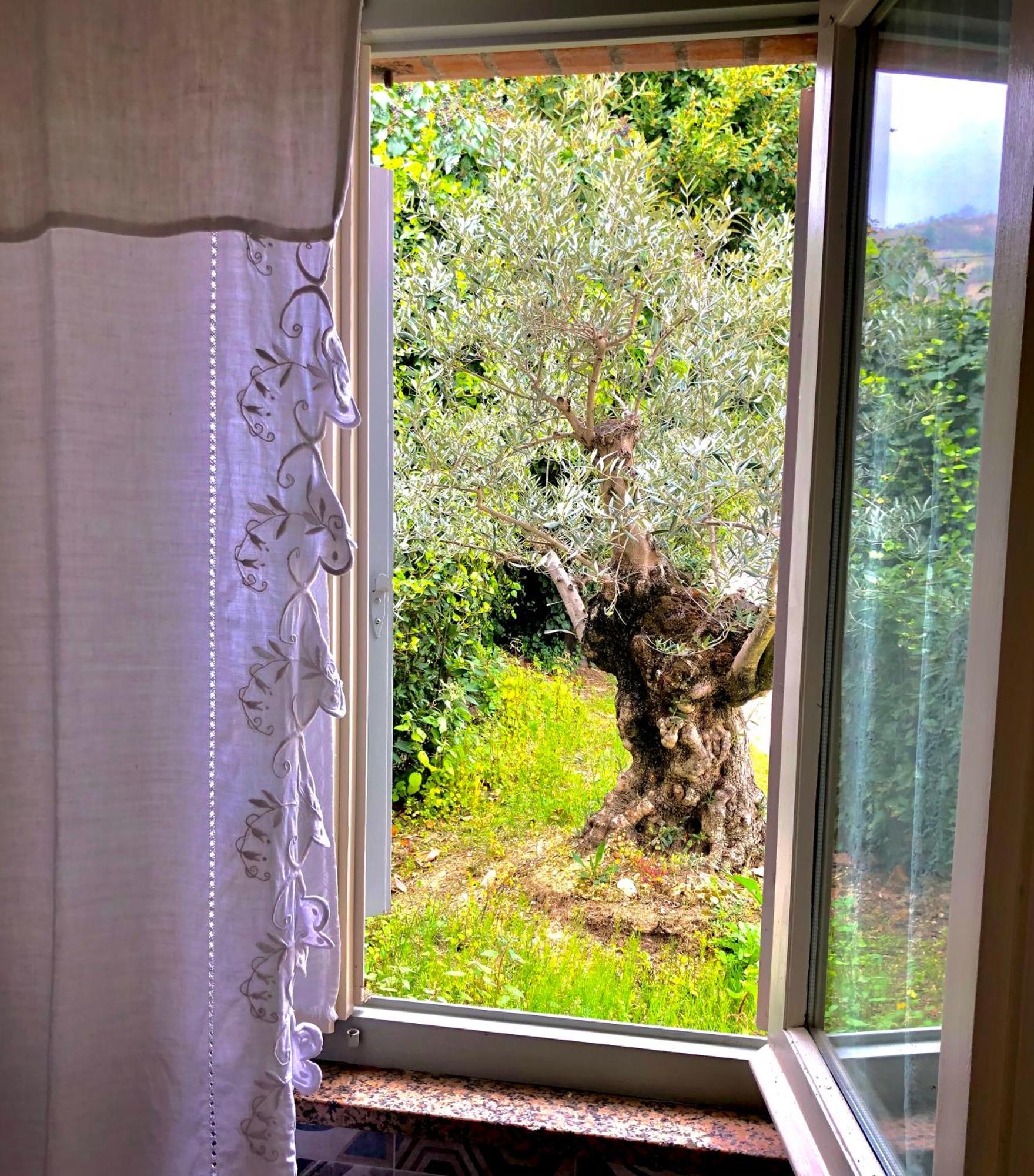 Francesca Luxury Grottammare